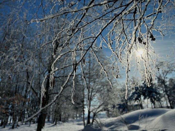 札幌管轄山林_霧氷~しばれた朝に~