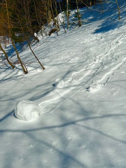 札幌管轄山林_雪ロール