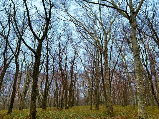 間もなく冬本番