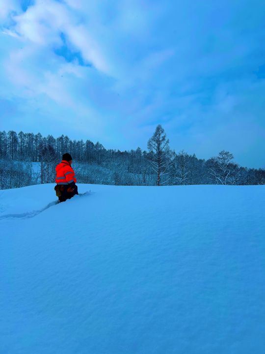 雪深し