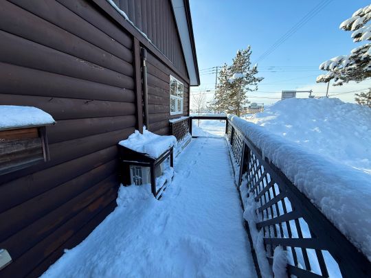 営業時間外の来訪者(エゾシカ)