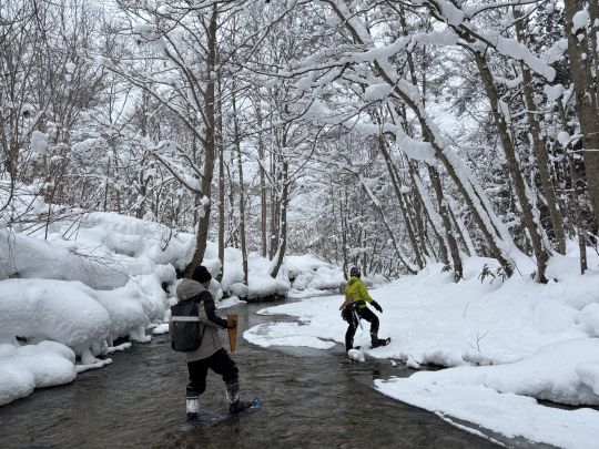 冬の踏査風景①