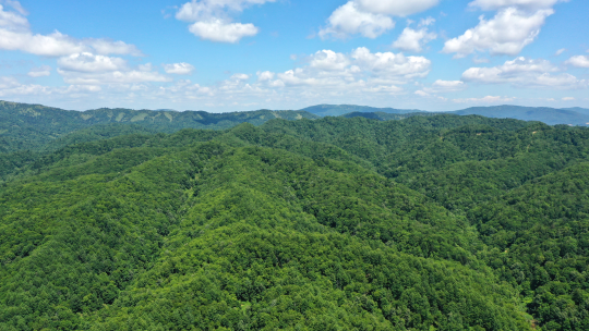 初夏の山景